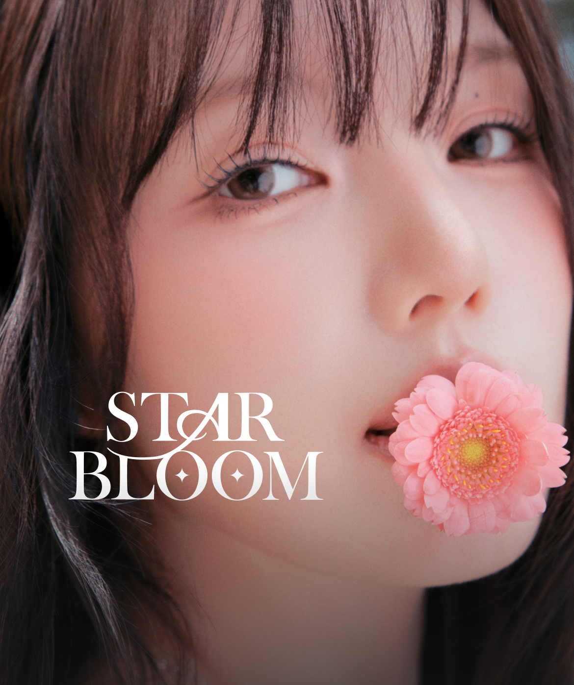 K-pop & culture live and events, BIGC. ビック